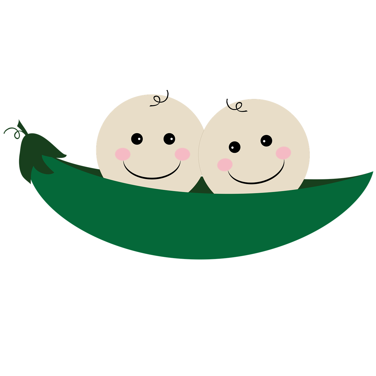 Twin PNG Free Photo PNG Image