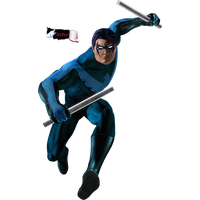 Nightwing Picture PNG