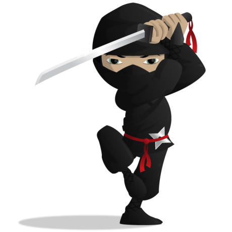 Ninja Png PNG Image