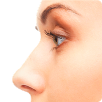 Download Roblox Eyelash Eye Cosmetics Face PNG File HD HQ PNG