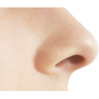 Nose PNG