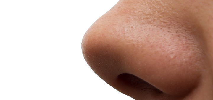 Nose Transparent PNG Image