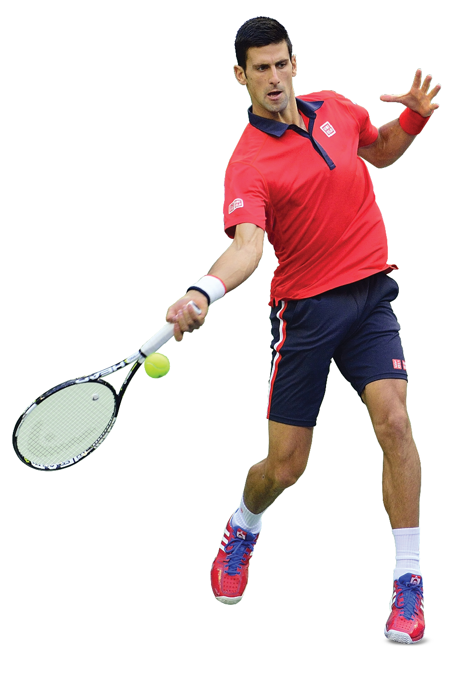 Novak Djokovic File PNG Image