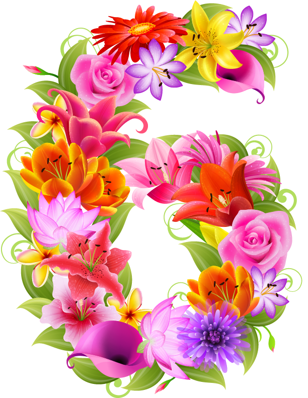 Floral Number Free PNG HQ PNG Image