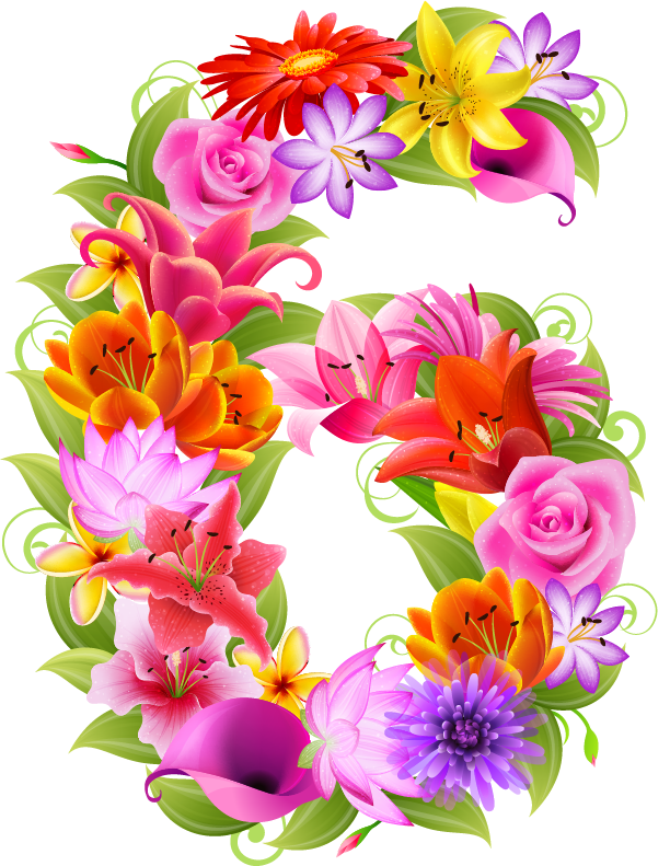 Floral Number Free PNG HQ Transparent PNG Image