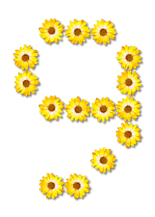 Floral Number Free Clipart HD PNG Image