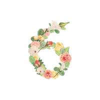 Floral Pic Number PNG Download Free