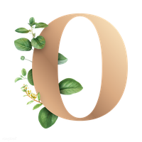 Letter O PNG
