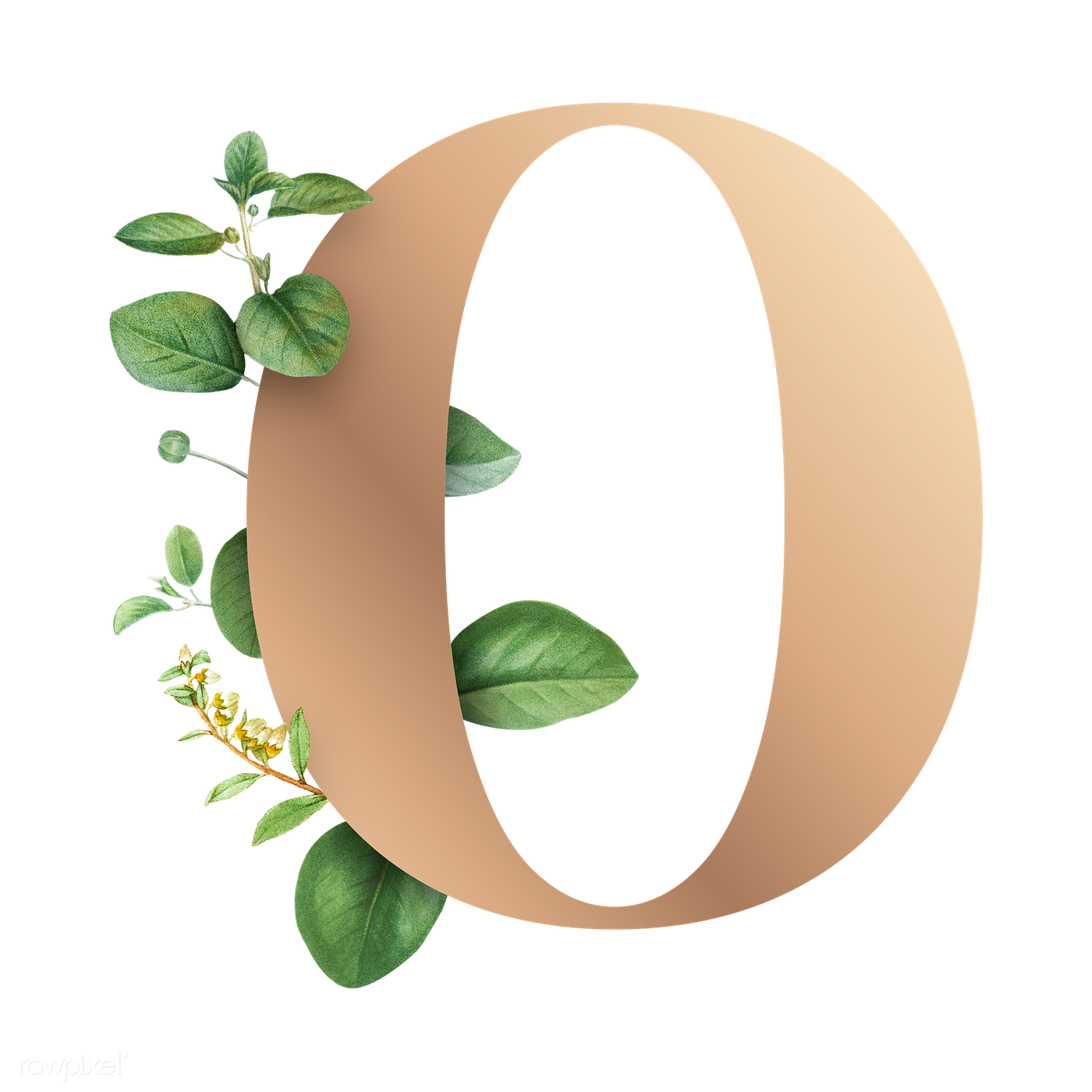 Letter O Transparent PNG Image