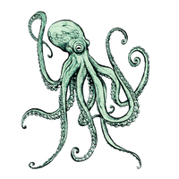 Octopus Free Transparent Image HD Transparent PNG Image