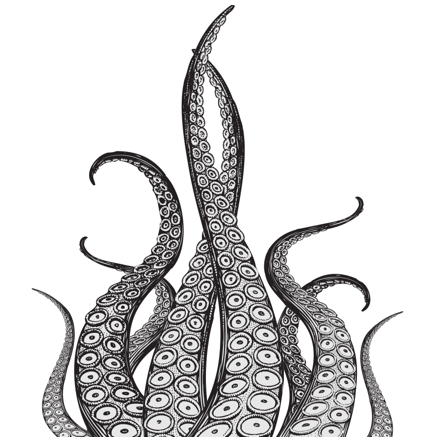 Octopus Tentacles Free Download PNG HD PNG Image