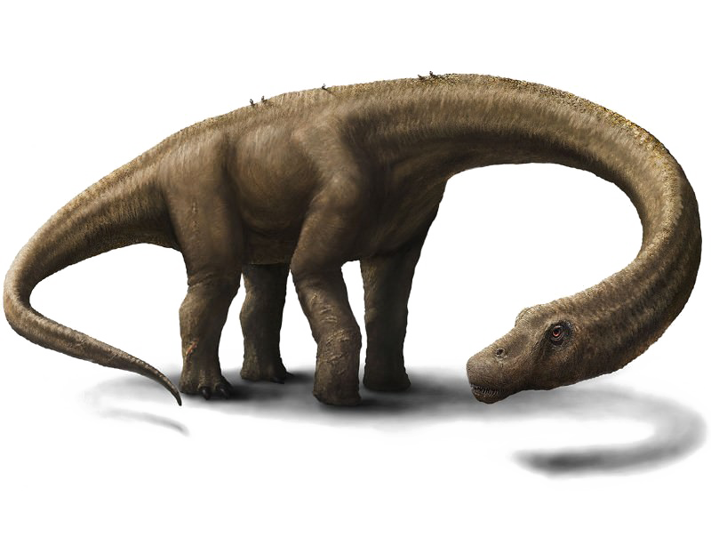 Dinosaurs PNG Free Photo PNG Image