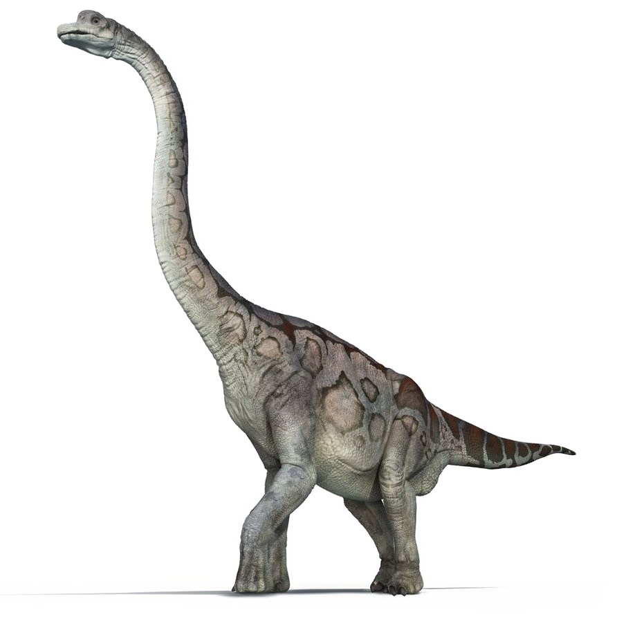 Brachiosaurus PNG File HD PNG Image