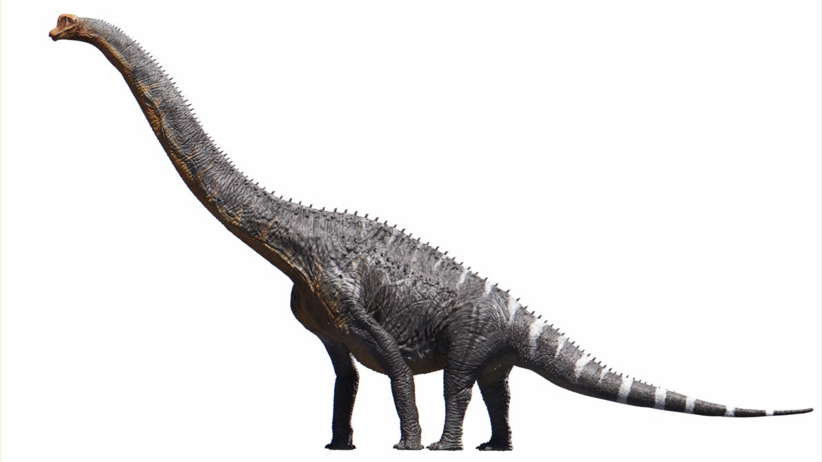Brachiosaurus Download Free Image PNG Image