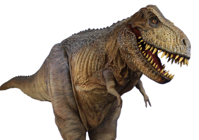 T Rex HD Free Download PNG HQ Transparent PNG Image