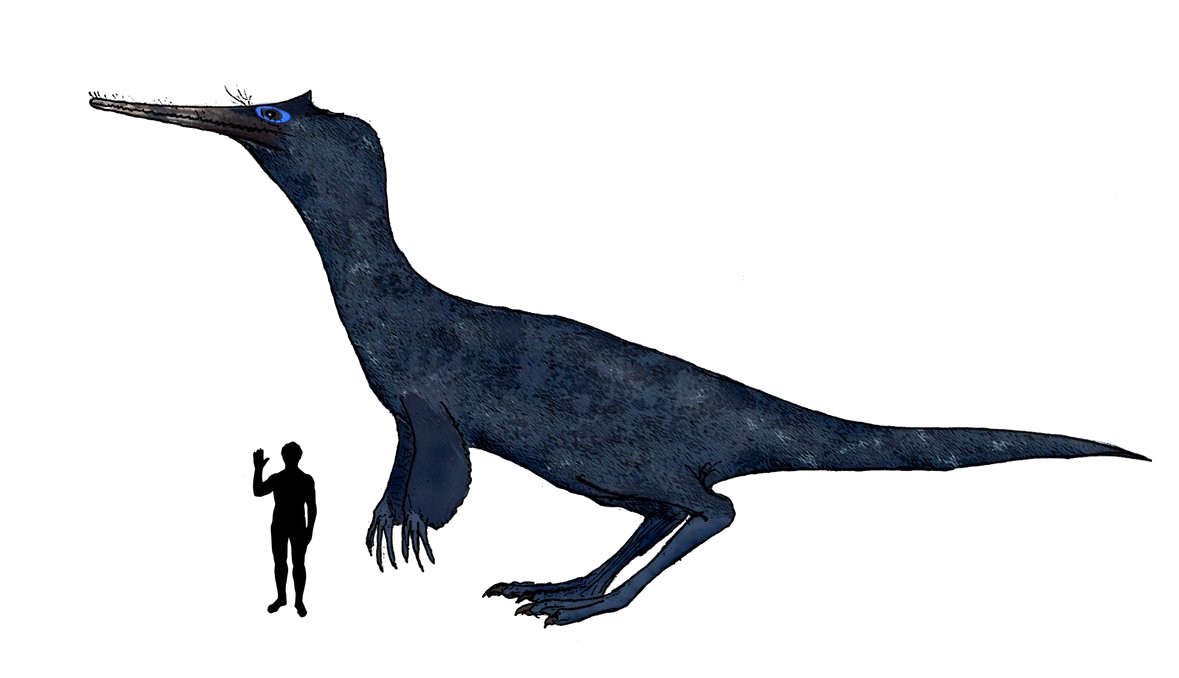 Theropod Download PNG Free Photo PNG Image
