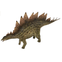 Stegosaurus Image Free Transparent Image HD PNG
