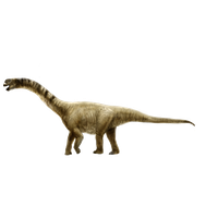Sauropod Picture PNG Download Free PNG