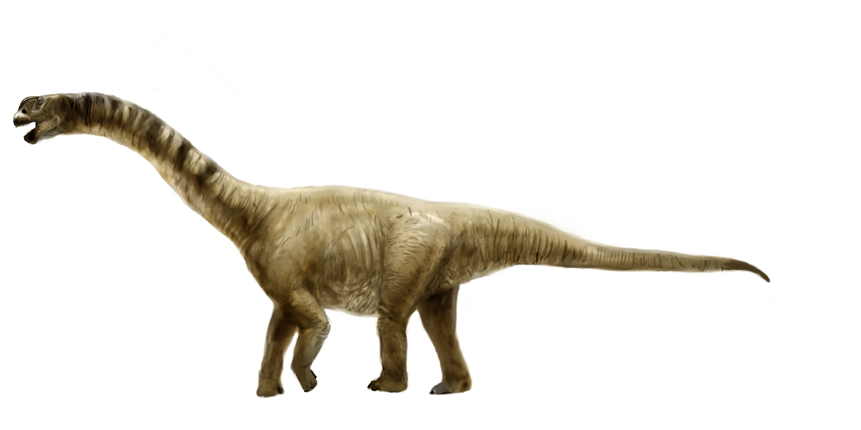 Download Sauropod  Picture PNG Download Free HQ PNG Image 