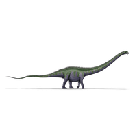 Sauropod Images Download Free Image