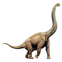 Sauropod Free Download PNG HD