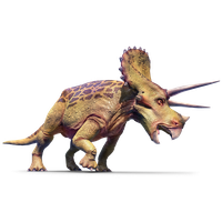 Triceratop Image Free Clipart HD
