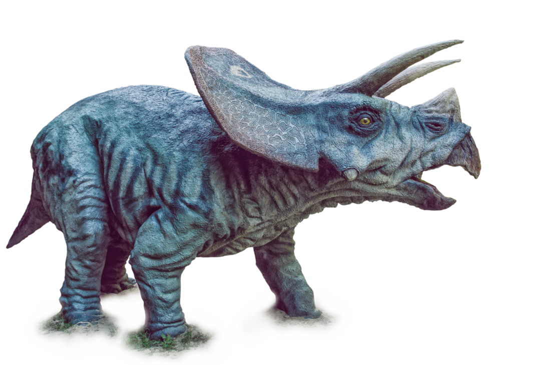 Triceratop Free Transparent Image HD PNG Image