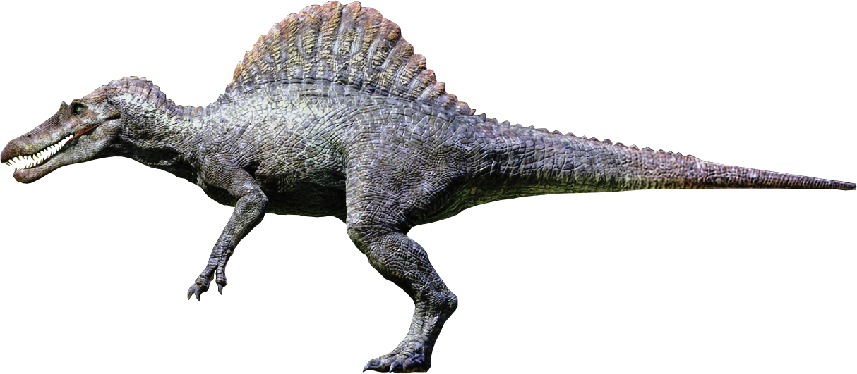 Spinosaurus Download PNG File HD PNG Image