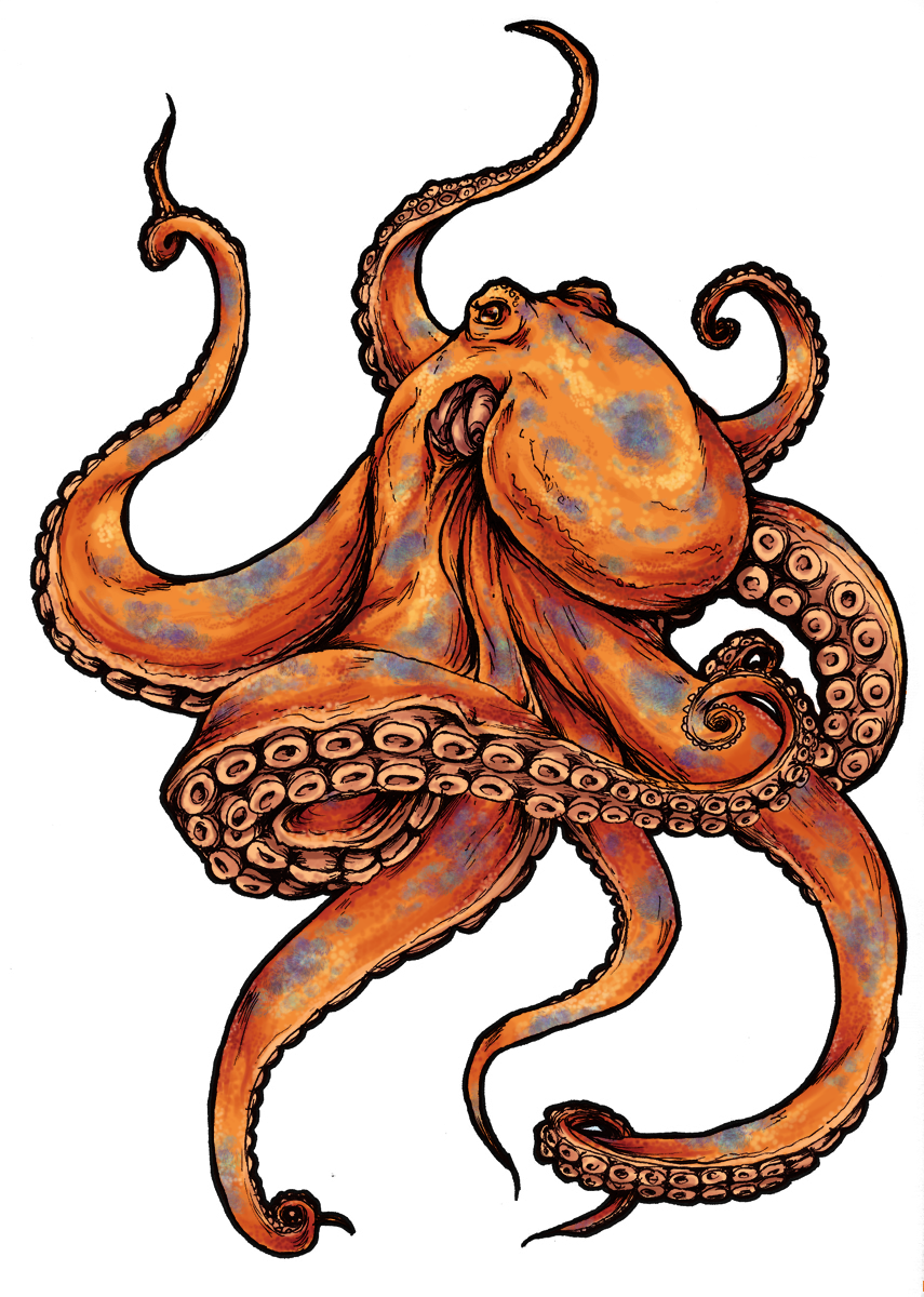 Tattoo Black-And-Gray Sleeve Picture Octopus Drawing PNG Image