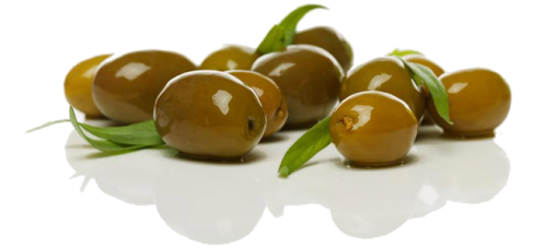 olive freepngimg
