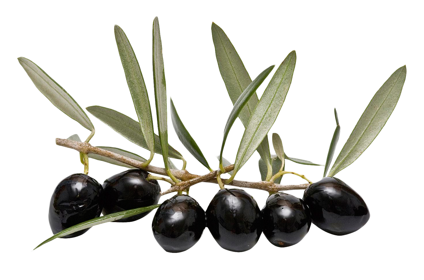 Olive Transparent Background Transparent PNG Image