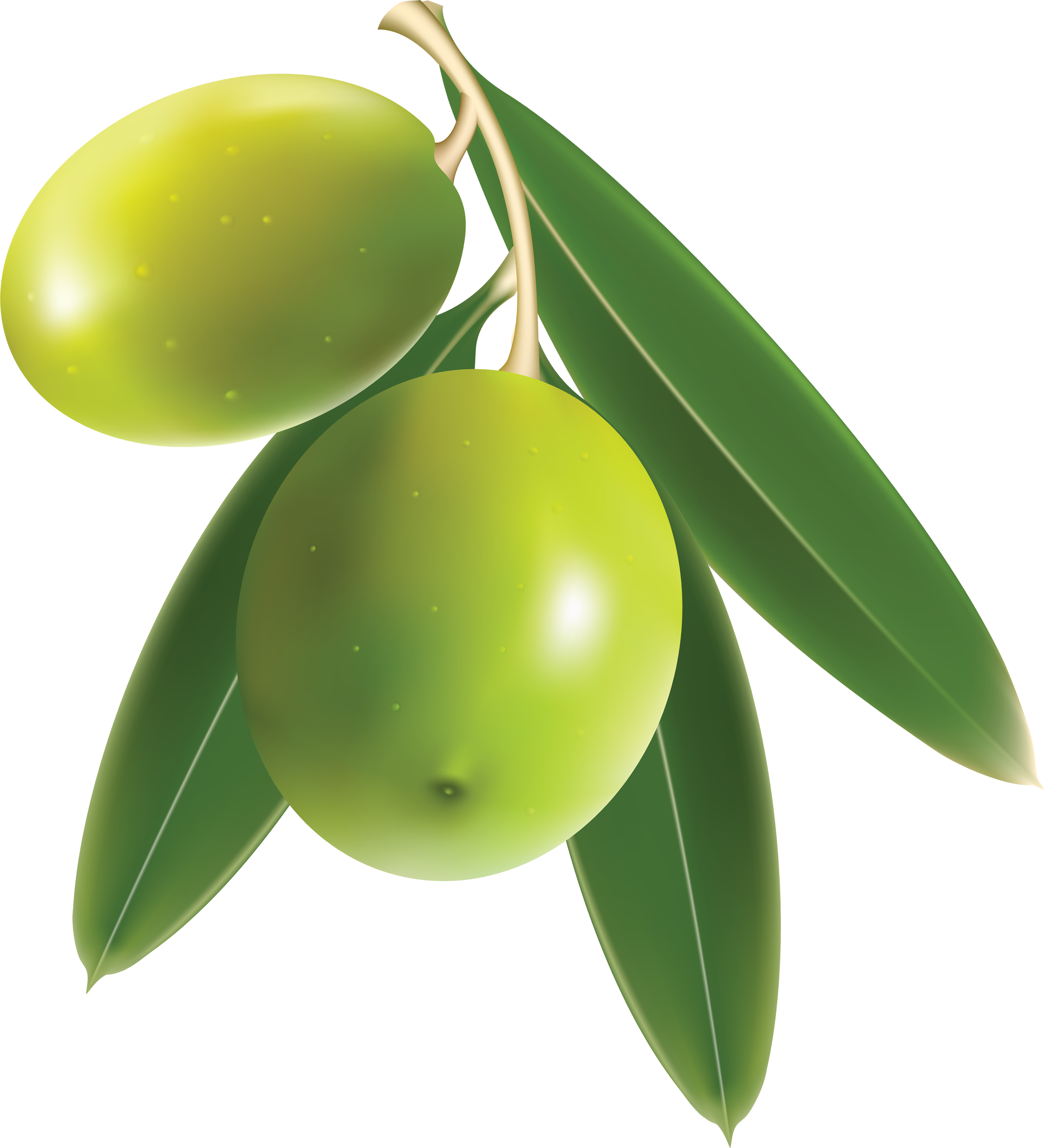 Olive Transparent PNG Image