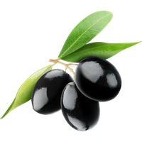 Olive Transparent PNG Image