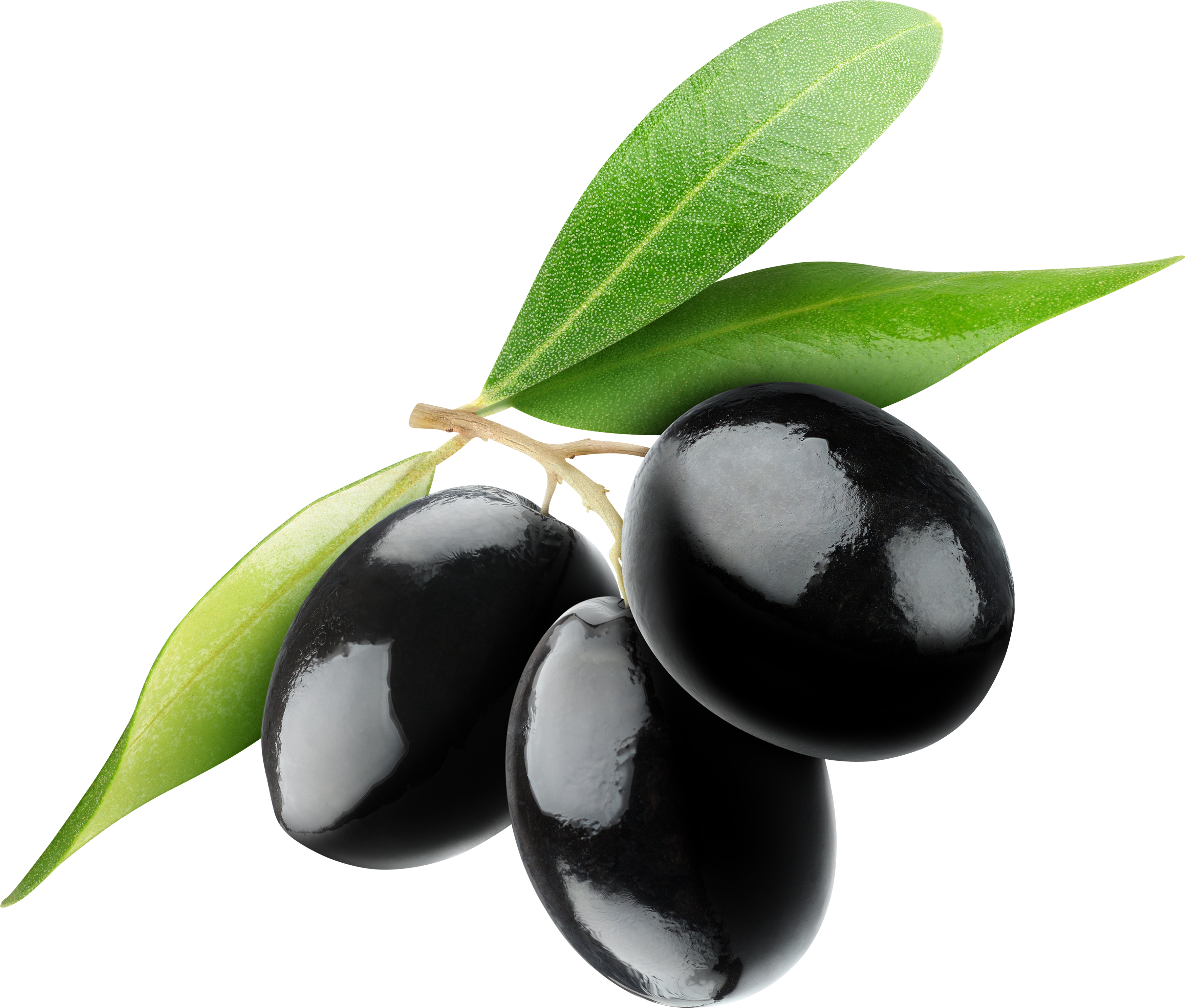 Olive Transparent PNG Image