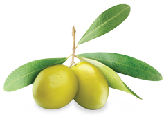 Olive Transparent PNG Image