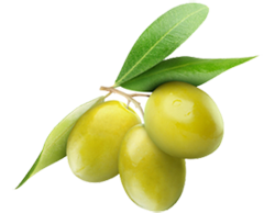 Olive Transparent PNG Image