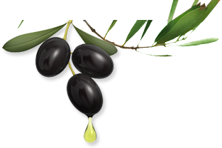 Olive Transparent PNG Image