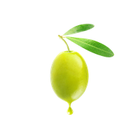 Olive PNG