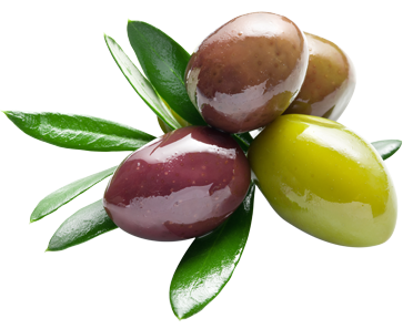 Olive Transparent PNG Image