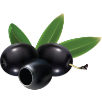 Black olives PNG