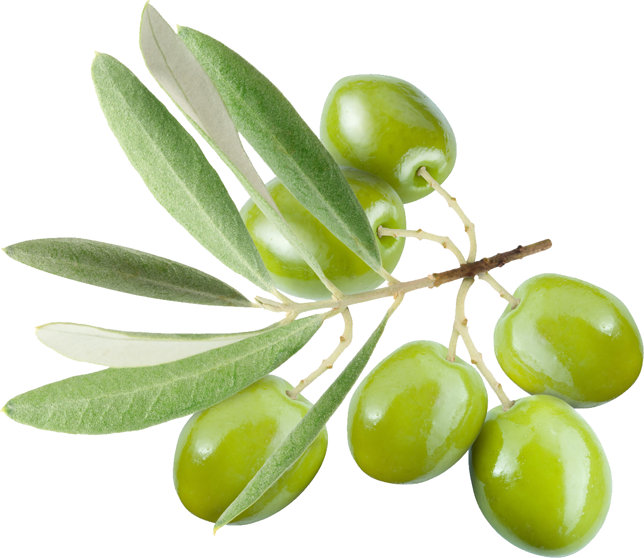 Olives Transparent PNG Image