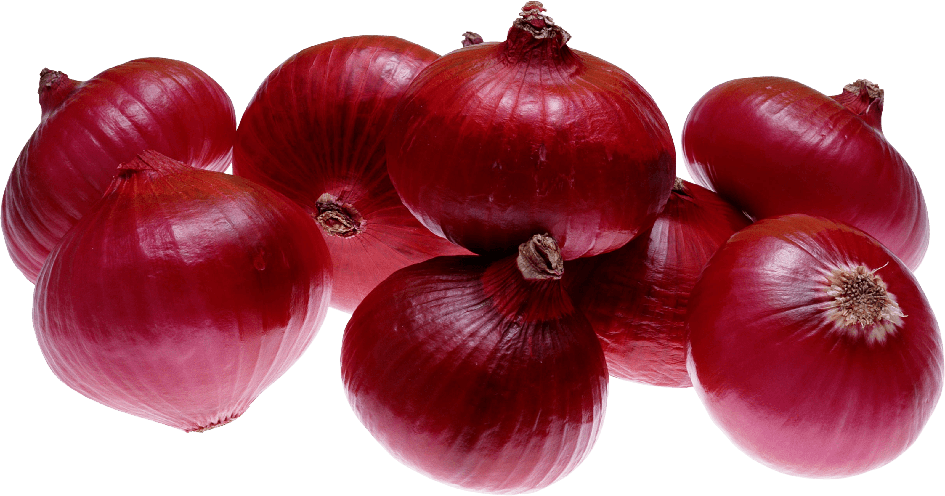 Red Onion Png Image Transparent PNG Image