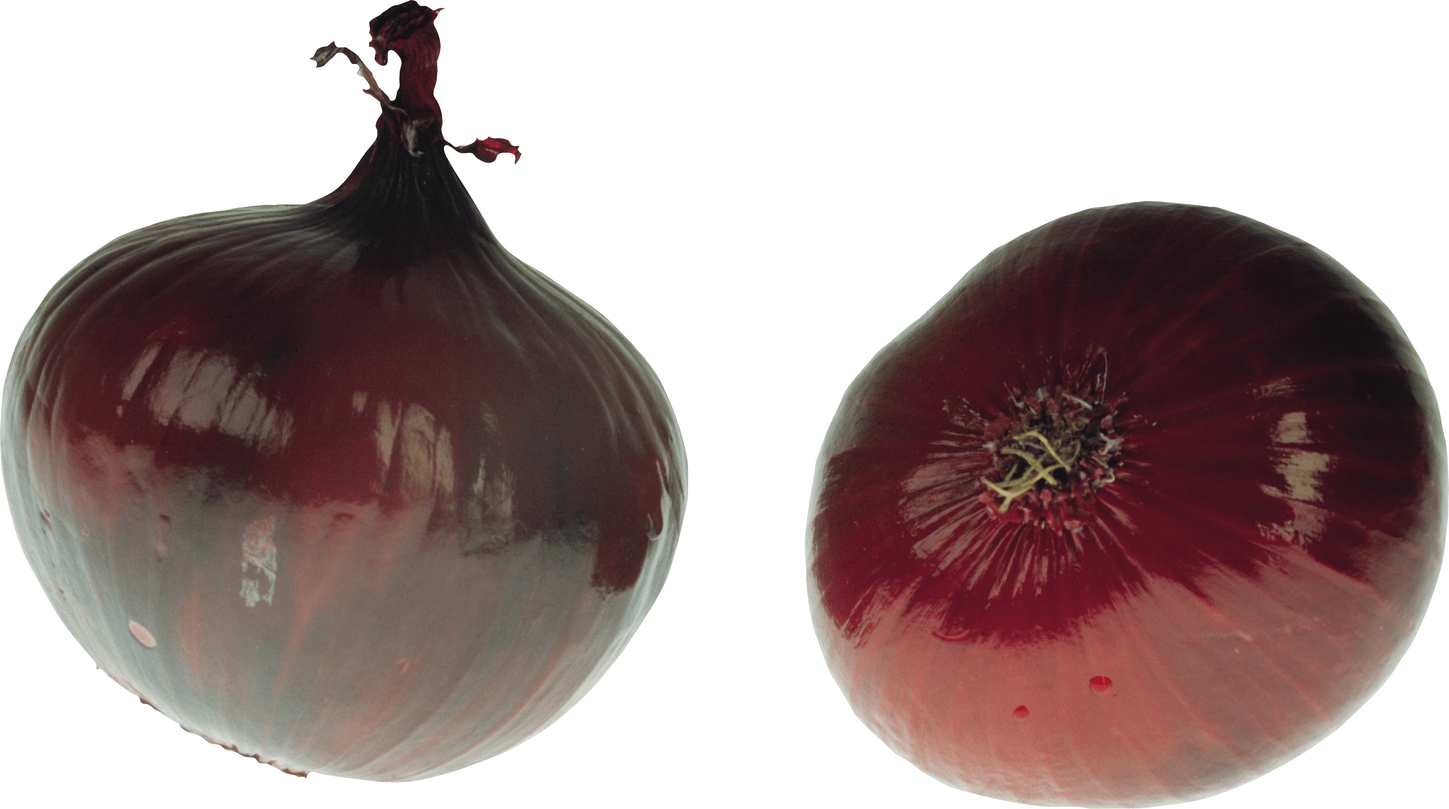 Onion Png Image PNG Image
