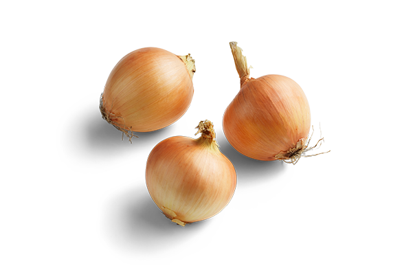 Brown Onion Download HD PNG Image