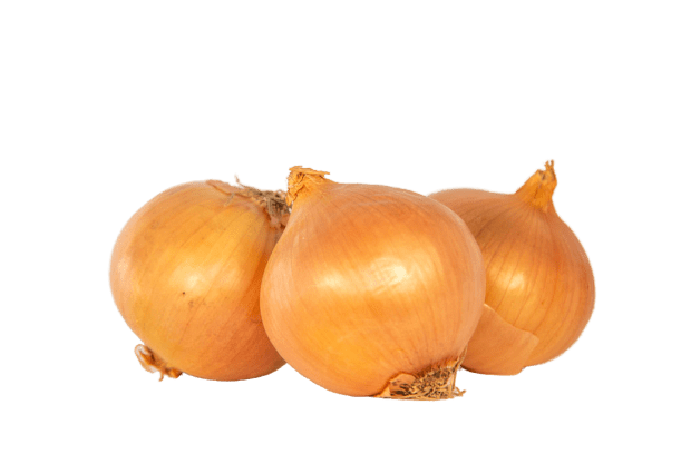 Brown Onion Photos Free PNG HQ PNG Image