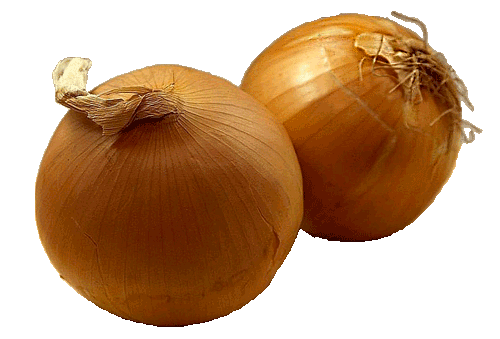 Brown Onion Free HQ Image PNG Image