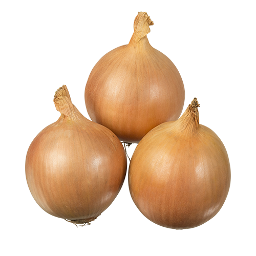 Brown Onion Bunch Free HD Image PNG Image