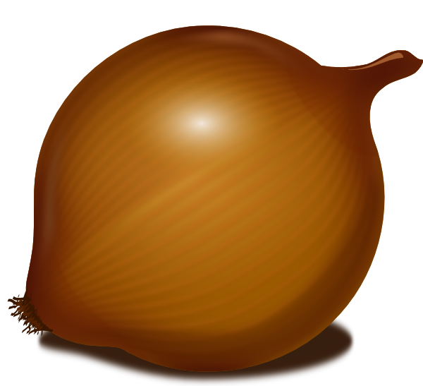 Brown Vector Onion Free Photo PNG Image