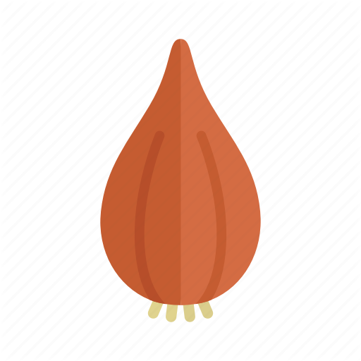 Brown Vector Onion Download HQ PNG Image