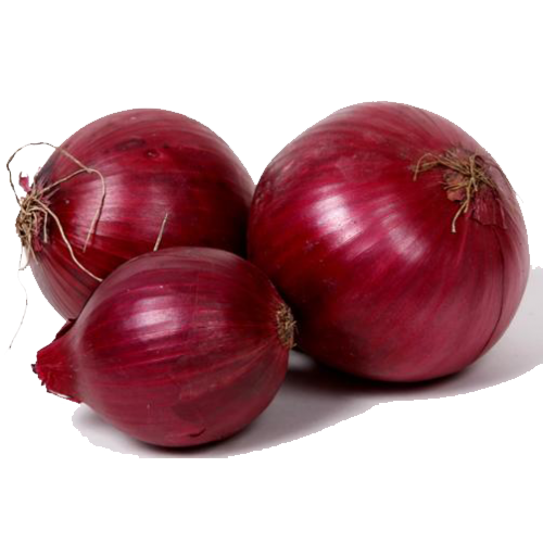 Fresh Onion Free Download Image PNG Image